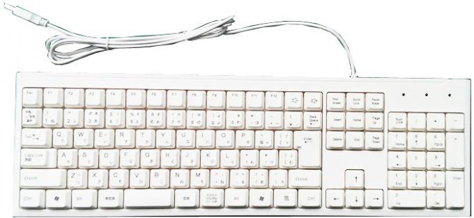 Plastic Computer Keyboard Rugged Waterproof Plastic Keyboard With 12 Function Keys And Numeric Keypad